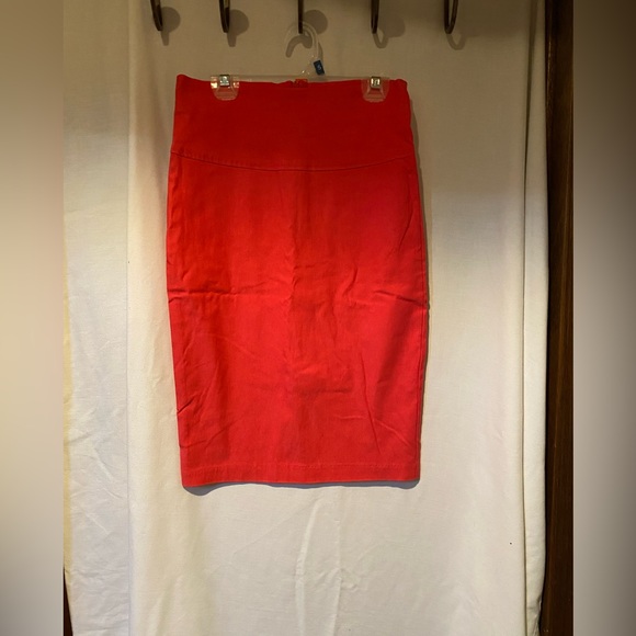 Ladies Skirt - Picture 1 of 4